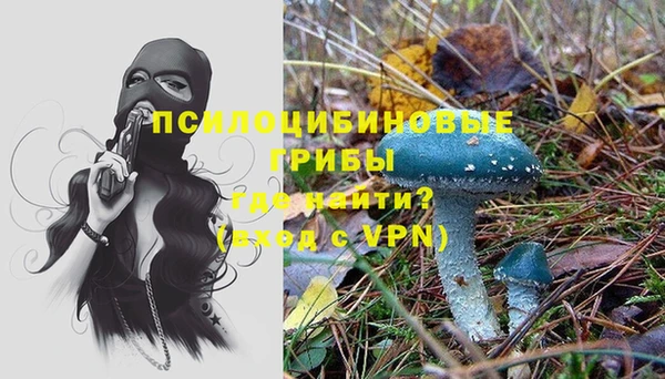 COCAINE Покачи