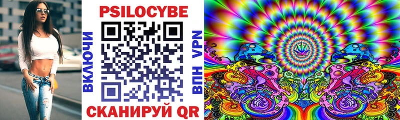 Псилоцибиновые грибы прущие грибы  Белинский 